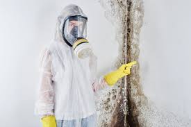 Why You Should Choose Our Mold Remediation Services in Susanville, CA